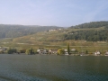 pict2419_1