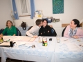 MGO_GV_2015-01-16_003