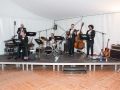 Maienzug_Aarau_2015-07-03_041