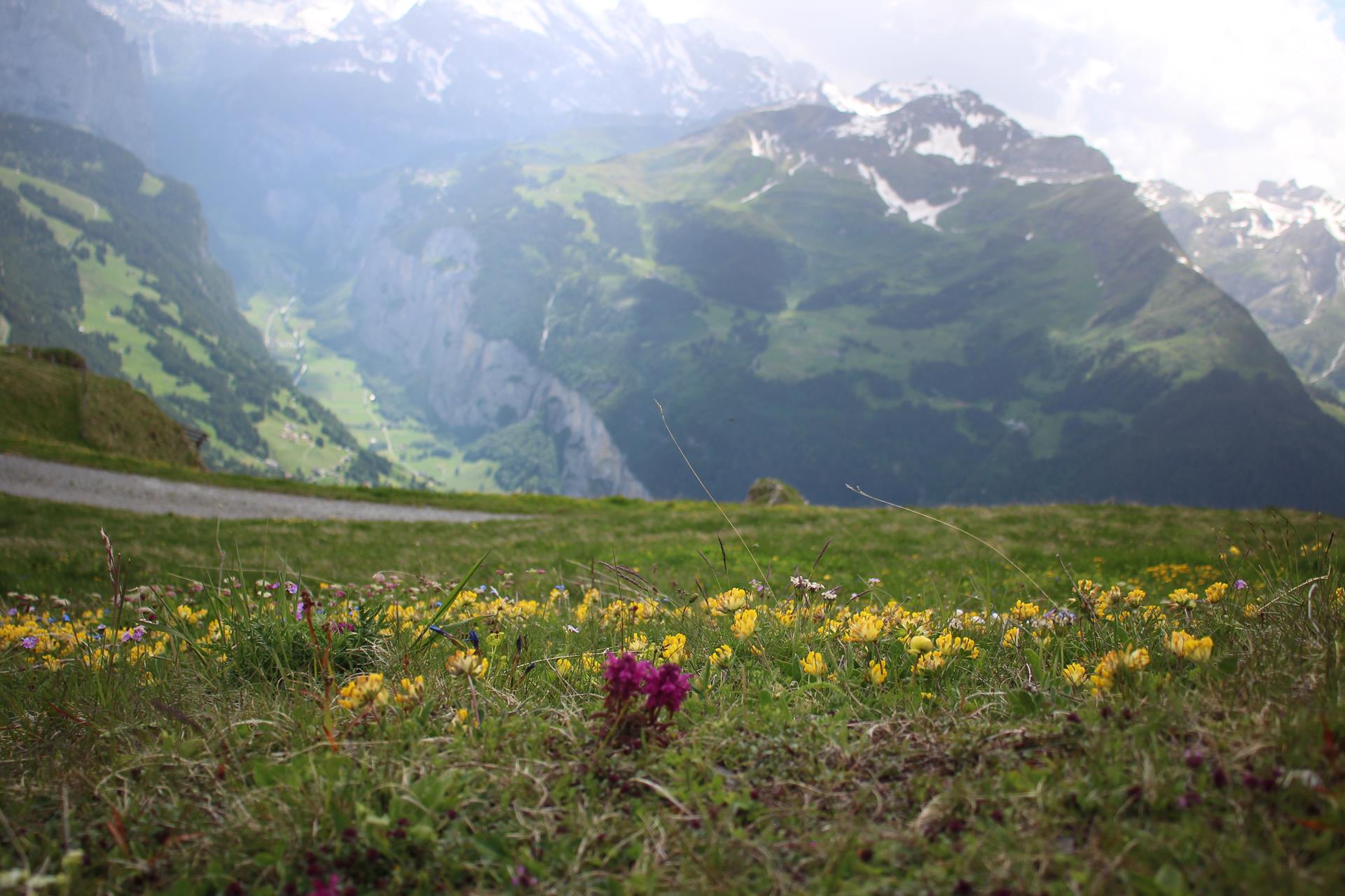 2022-06-05_Kreismusiktag_Wengen_090