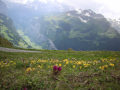 2022-06-05_Kreismusiktag_Wengen_090